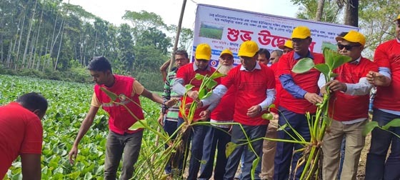 ভাণ্ডারিয়ায় স্বেচ্ছাশ্রমে খালের কচুরিপানা অপসারণ
