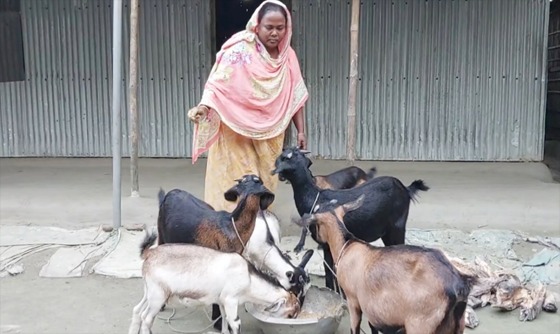 হাঁস-মুরগী ও ছাগল পালন করে সাবলম্বী হচ্ছেন নাগেশ্বরী প্রান্তিক নারীরা