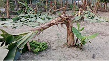 storage/2024/december/12/news/290675ae389a1be4.jpg