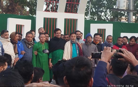 হাতিয়ায় বিজয় দিবস পালিত