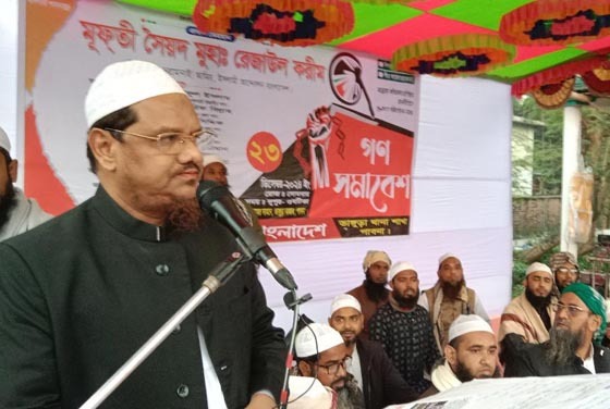 ৫৩ বছরে আমরা শুধু পেয়েছি গুম-খুন: চরমোনাই পীর