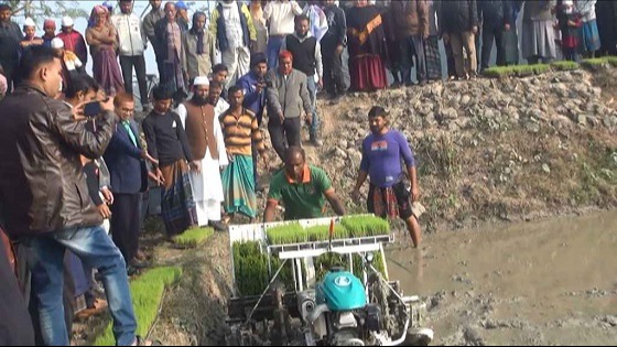 কালীগঞ্জে মেশিনে চারা রোপণ উদ্বোধন