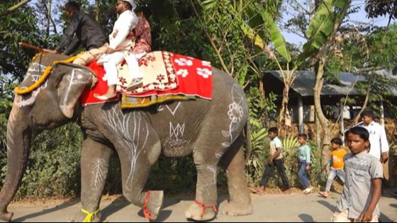 নবগ্রামে হাতি ও পালকিতে চোড়ে ব্যতিক্রমী বিয়ে