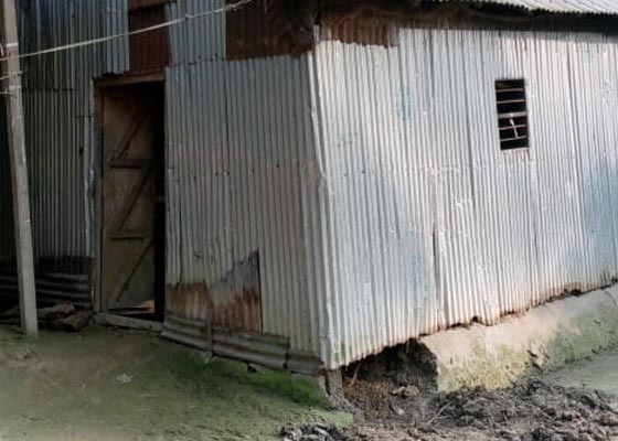 গফরগাঁওয়ে কৃষকের ঘরে সিদ কেটে গরু চুরি