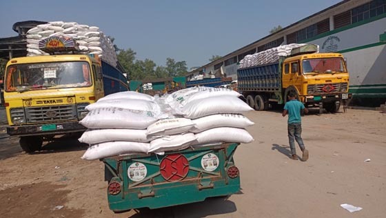 লালমনিরহাটে সার নিয়ে কৃষকের হাহাকার