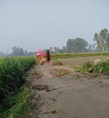 টাঙ্গাইলে রাস্তার বেহাল দশা, জনজীবনে ভোগান্তি