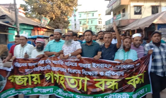 ফিলিস্তিনে গণহত্যার প্রতিবাদে সেনবাগে বিভিন্ন সংগঠনের বিক্ষোভ মিছিল