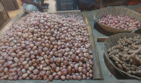 হিলিতে কমেছে দেশি পেঁয়াজের দাম