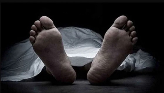 মহেশখালীতে গাছ থেকে পড়ে কিশোরের মৃত্যু