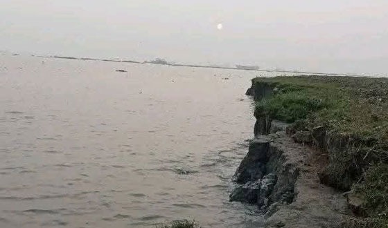 গজারিয়ার বেরু মোল্লাকান্দি গ্রাম সংলগ্ন নদীর তীরের ফসলি জমি ভাঙ্গনের কবলে