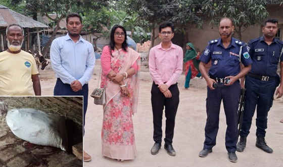 নন্দীগ্রামে অসুস্থ গরুর মাংস বিক্রি, হাতেনাতে ধরলো প্রশাসন