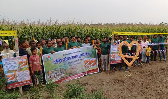 গাবতলীতে জায়েন্ট এগ্রো'র হাইব্রিড ফলাফল প্রদর্শনী দিবস