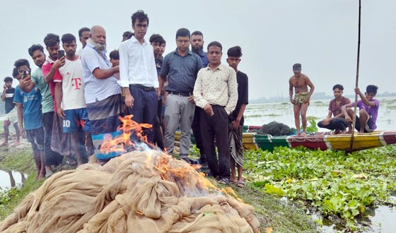 রাণীনগরে লক্ষাধীক টাকার রিং ও ভাদাই জাল আটক করে ভস্মিভূত
