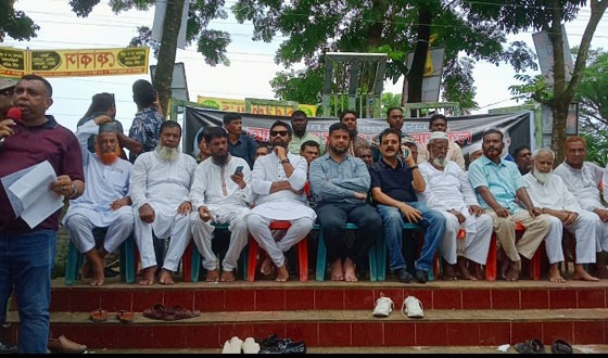 মোল্লাহাটে বিএনপির জুলাই গণ অভ্যুত্থান দিবস পালিত