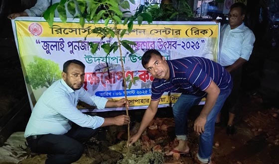 সাপাহারে রিক-এর উদ্যোগে বৃক্ষরোপণ কর্মসূচি পালন