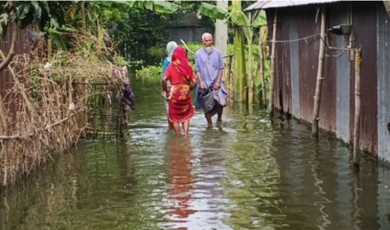 তিস্তার পানি কমলেও দুর্ভোগে ৫ উপজেলার মানুষ
