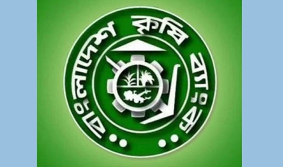 খুলনায় লকার ভেঙে কৃষি ব্যাংকের ১৬ লাখ টাকা লুট