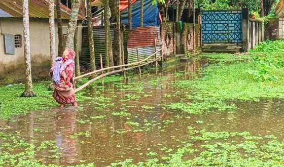 জামালপুর পৌরসভার জলাবদ্ধতায় জনজীবন বিপর্যস্ত