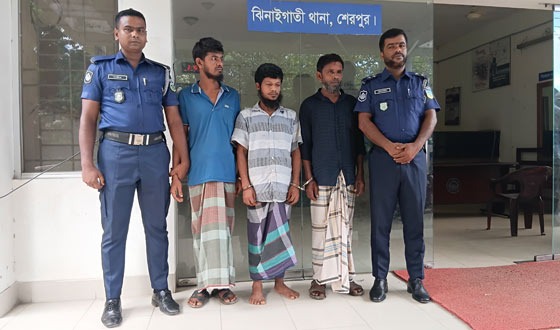 শেরপুরে সাংবাদিকের ওপর হামলার ঘটনায় গ্রেপ্তার ৩