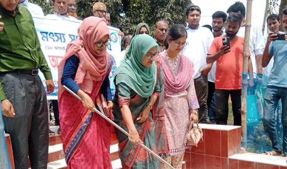বাঘায় জাতীয় মৎস্য সপ্তাহ পালিত