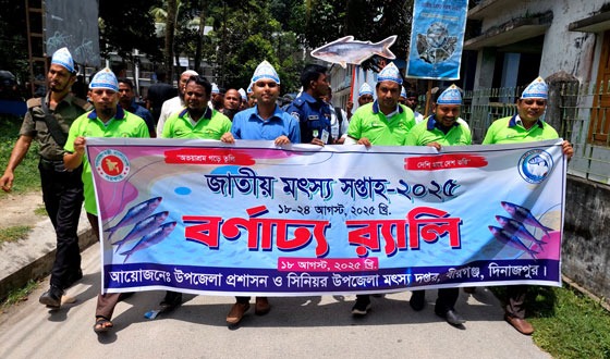 বীরগঞ্জে জাতীয় মৎস্য সপ্তাহ উপলক্ষ্যে বর্ণাঢ্য র‌্যালি ও সভা