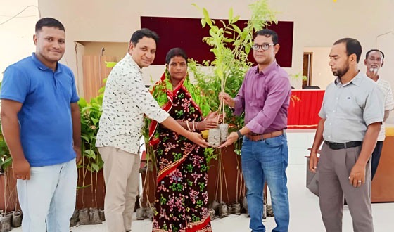 ধামইরহাটে ডাসকো ফাউন্ডেশনের উদ্দোগে বৃক্ষরোপন
