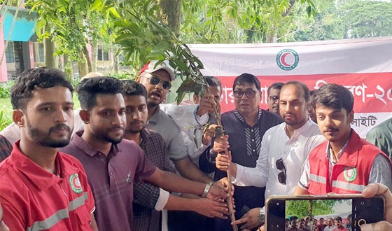পলাশবাড়ীতে গাছের চারা রোপন ও বিতরণ