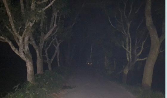 লাইটহীন সড়কে ভোগান্তি হাকিমপুর পৌর এলাকায়
