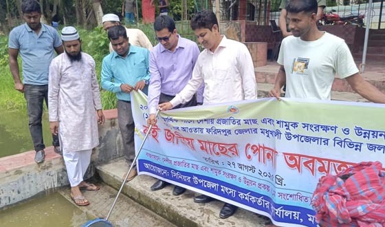 মধুখালীতে বিভিন্ন জলাশয়ে রুই জাতের পোনা মাছ অবমুক্ত