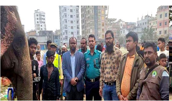 হাতি পালনের লাইসেন্স মেয়াদোত্তীর্ণ হওয়ায় জরিমানা