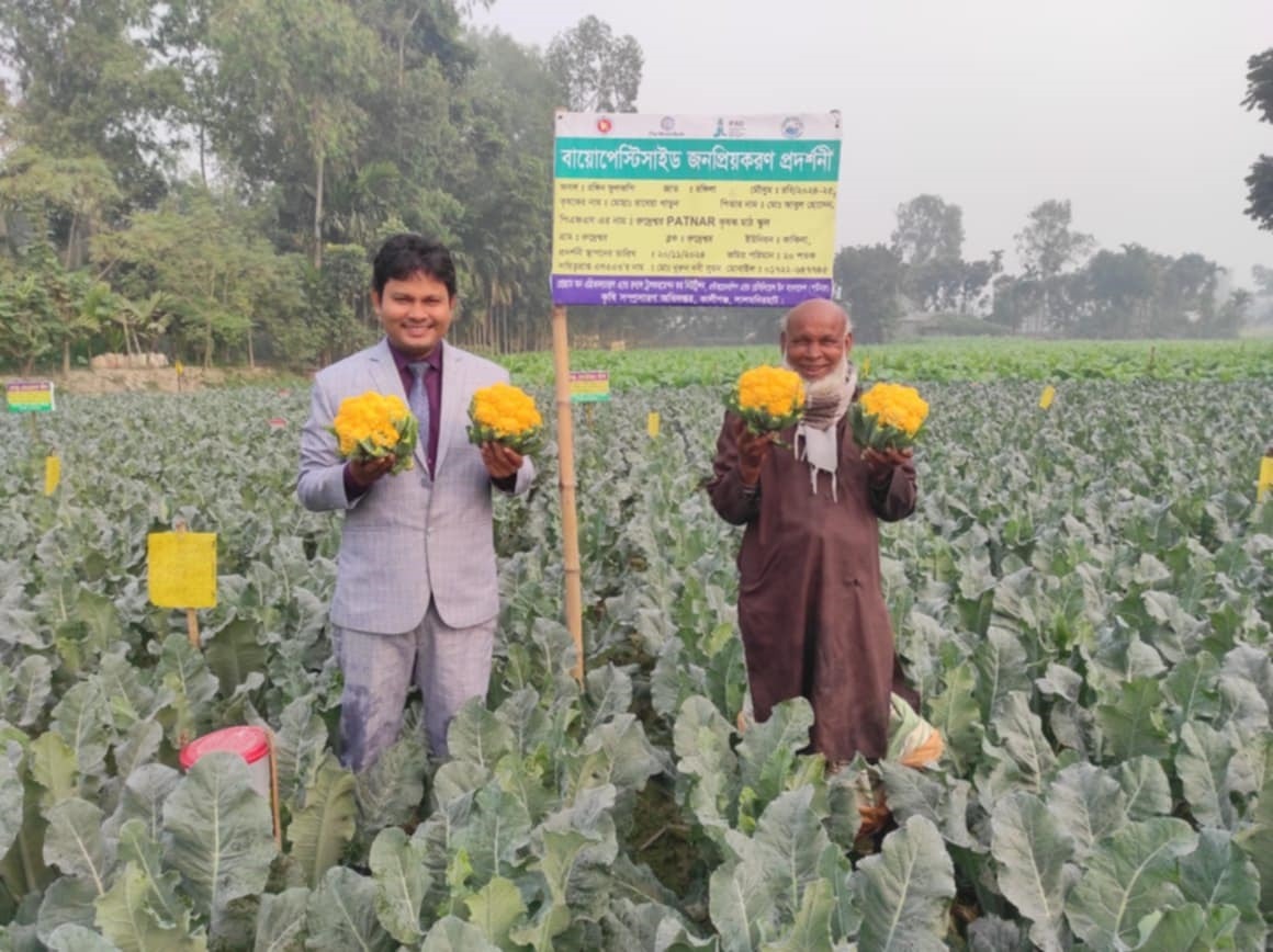 লালমনিরহাটে রঙিন ফুলকপি চাষ করে নারী উদ্যোক্তার বাজিমাত