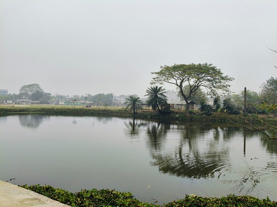 কালীগঞ্জে রাতে দুটি পুকুরের মাছ লুট