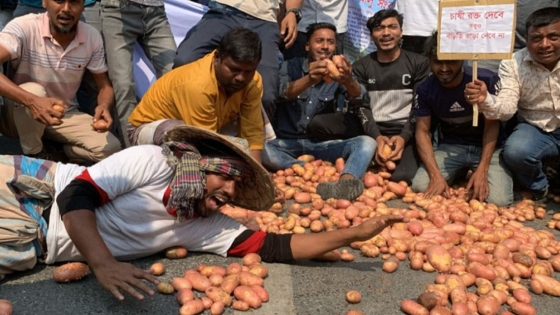হিমাগারে ভাড়া বৃদ্ধি রাজশাহীতে সড়কে আলু ফেলে কৃষকদের বিক্ষোভ