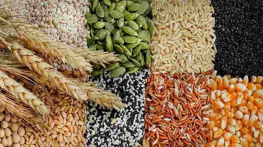 সার-বীজের সংকট বাড়াতে পারে খাদ্যশস্যের দাম