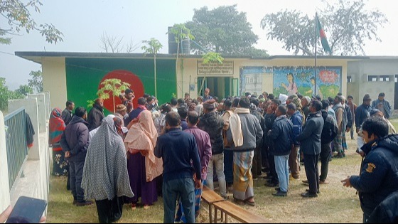 মোল্লাহাটে বিএনপির ওয়ার্ড কমিটি নির্বাচন শুরু