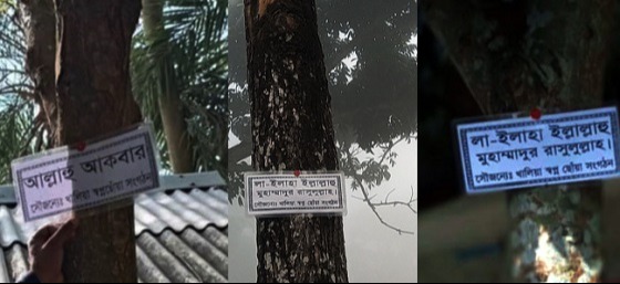 যিকিরে অভ্যস্থ করতে গাছে গাছে আল্লাহর নাম