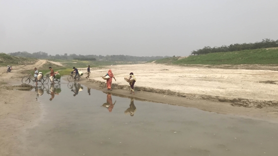 হেঁটেই পদ্মা পারাপার