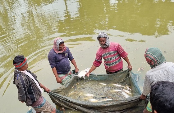 ব্র্যাক এডাপটেশন ক্লিনিকের মাছ আহরণ দিবস উদযাপন