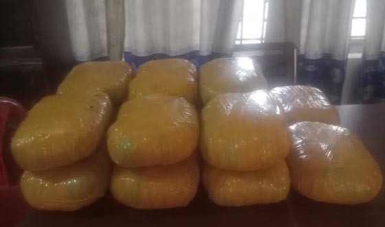 গজারিয়ায় ২৮কেজি গাঁজাসহ আটক ১