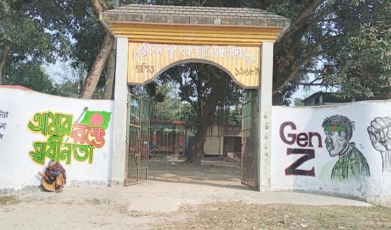 মান্দায় অবৈধপন্থায় ২০ বছর ধরে চাকরি করার অভিযোগ