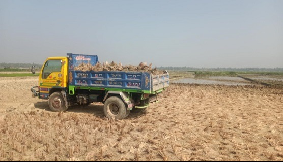 ঈদগাঁওতে সরকারী রাস্তা কেটে টপ সয়েল লুট