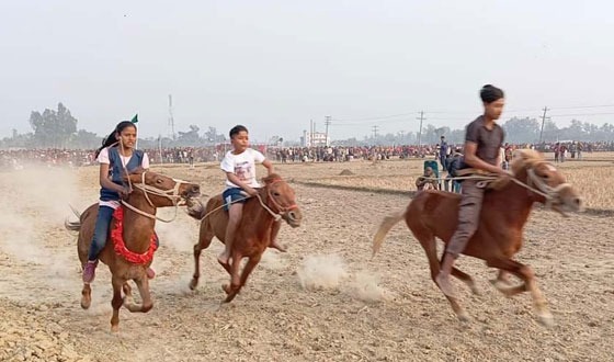 ধামইরহাটে ঐতিহ্যবাহী ঘোড়দৌড় প্রতিযোগিতা অনুষ্ঠিত