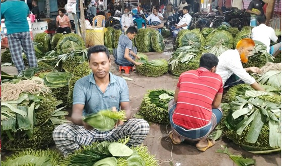 সন্ধ্যায় জমে ওঠে কোটি টাকার পানের হাট