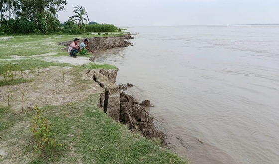 সারিয়াকান্দিতে যমুনায় ব্যপক ভাঙ্গনে আবাদি জমি ও স্পার নদী গর্ভে