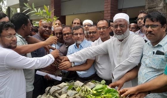 বিরামপুরে বিএনপির উদ্যোগে বৃক্ষরোপন ও চারা বিতরণের কর্মসূচির উদ্বোধন