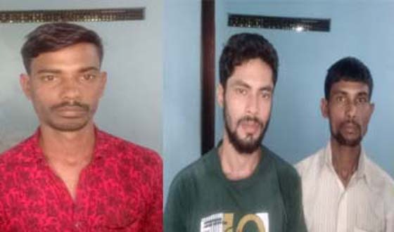 পোরশায় গরু চোর সহ দুই মাদক ব্যবসায়ী আটক