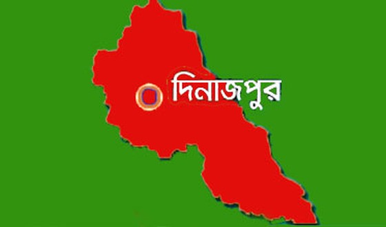 বিরলে বসতবাড়িতে আগুনে সর্বস্ব ভস্মিভূত: প্রশাসনের সহায়তা