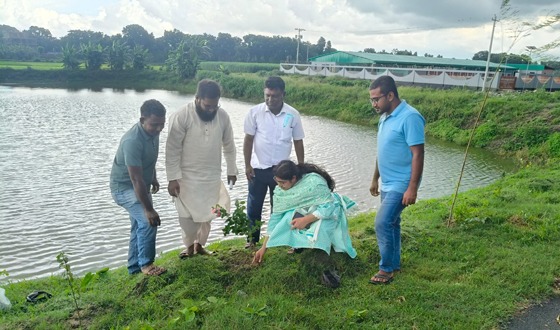 পরিবেশের ভারসাম্য রক্ষায় চৌগাছা পৌরসভায় বৃক্ষ রোপন কর্মসূচি
