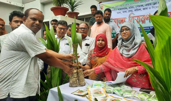 চিরিরবন্দরে শিক্ষাপ্রতিষ্ঠানে বিনামূল্যে গাছের চারা বিতরণ