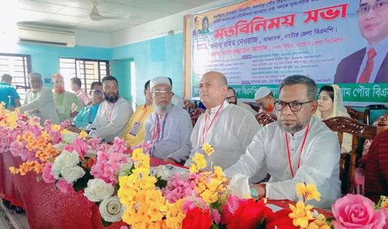 বড়াইগ্রামে বিএনপির সভা